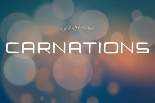 Carnations: A Modern and Elegant Display Font