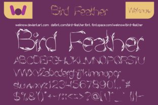 Enhance Your Craft with the Exquisite Bird Feather Font